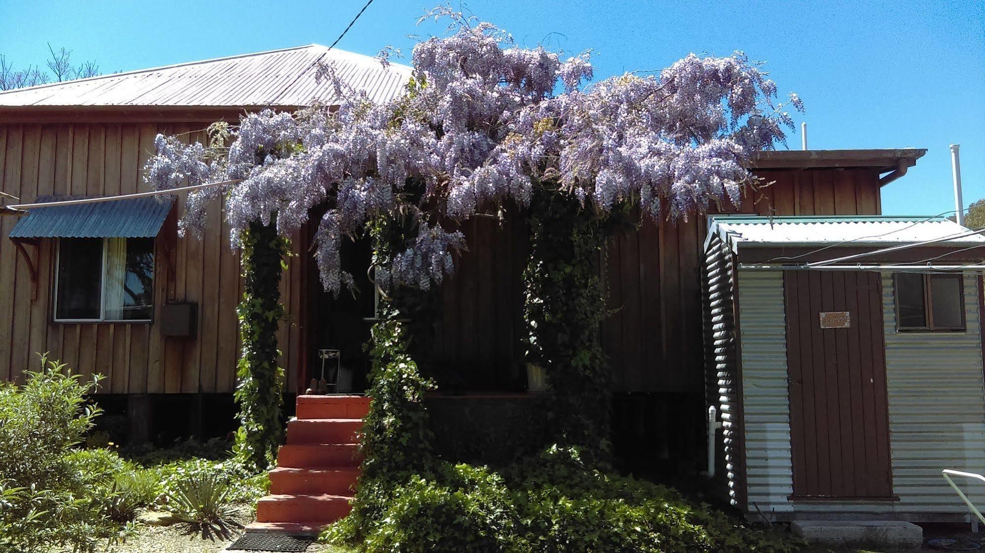 Wisteria Cottage Wyberba Εξωτερικό φωτογραφία